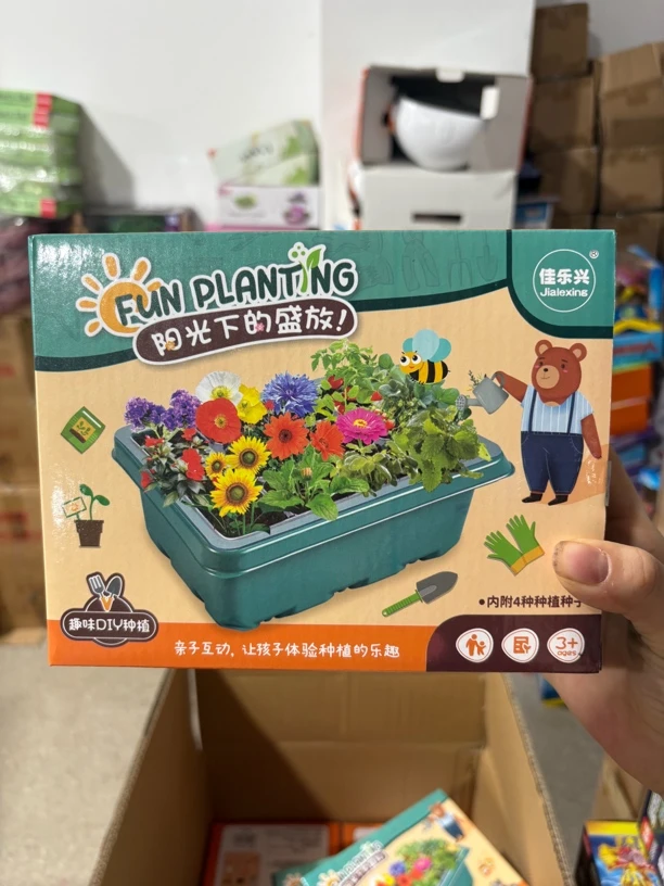 趣味Diy种植阳光下的盛放科学玩具礼物