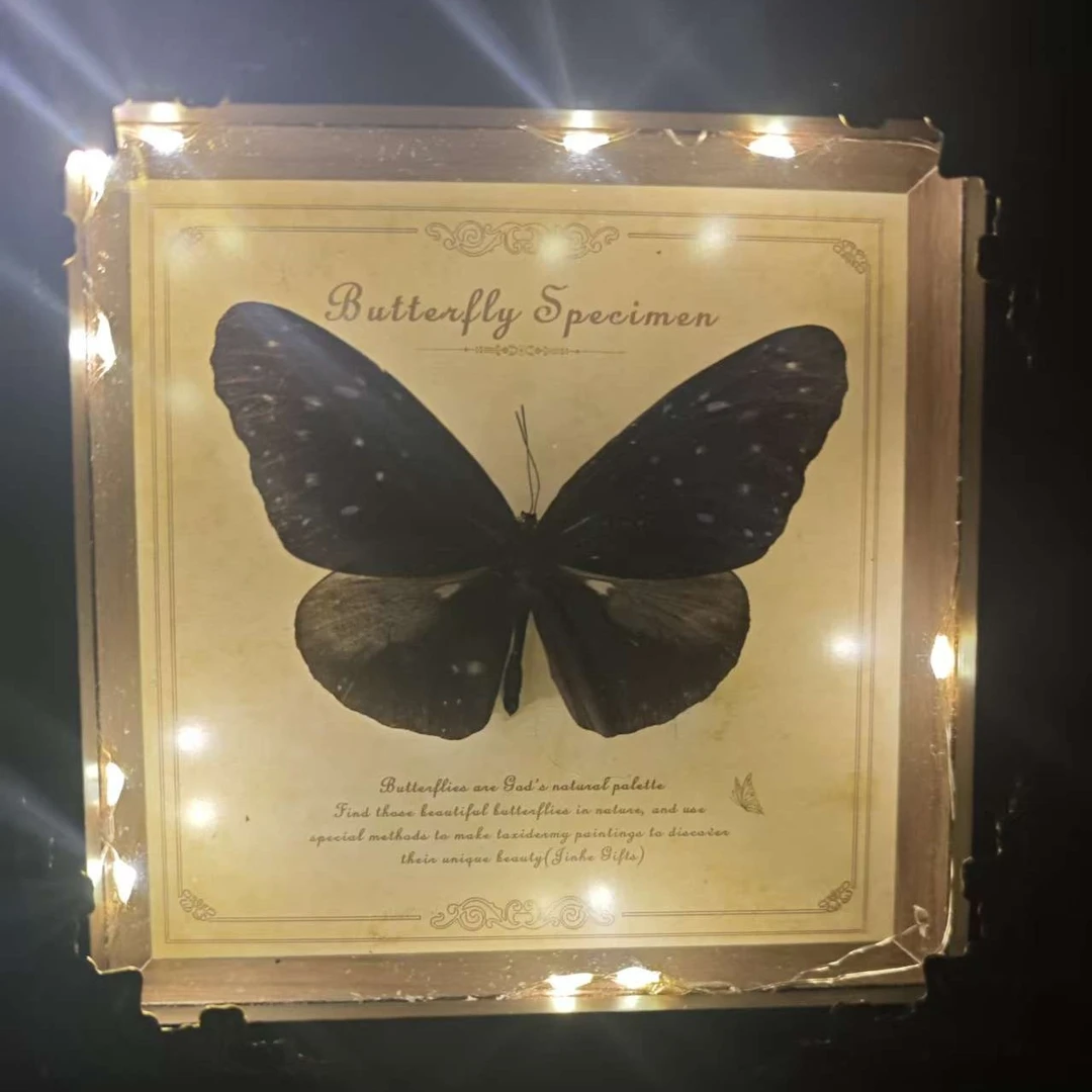 适合送男女朋友异型紫斑蝶超级闪真实蝴蝶标本手工