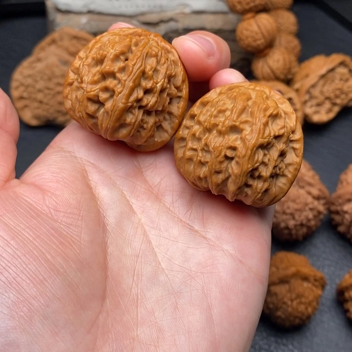 桃核把件尺寸36白狮子