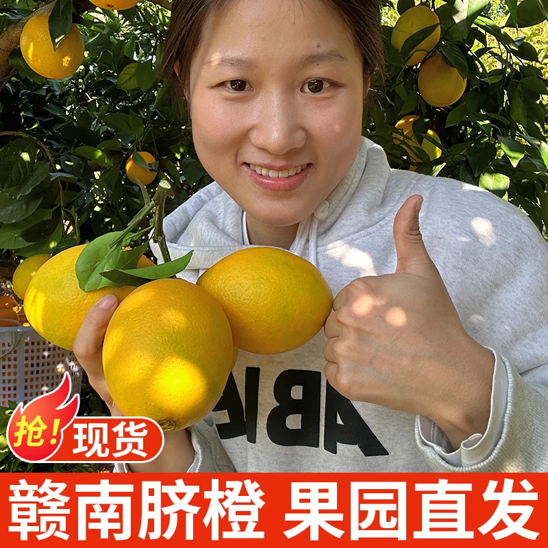 正宗赣南脐橙新鲜采摘橙子皮薄果园直销不催熟现摘现发品质精选