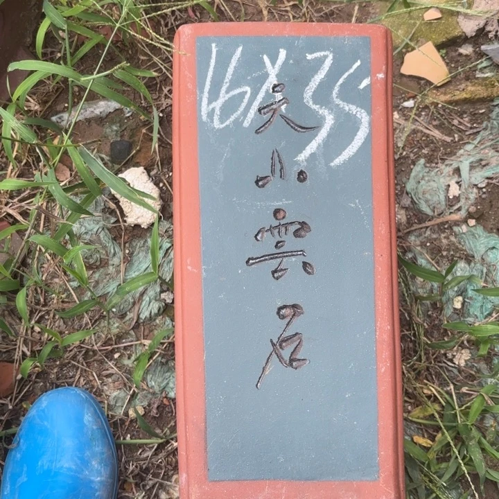 紫砂花盆紫砂的花