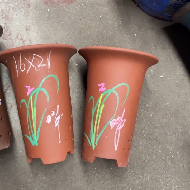 紫砂紫砂紫砂紫砂紫砂