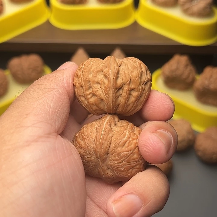 40尺精配头货全品毕业元宝