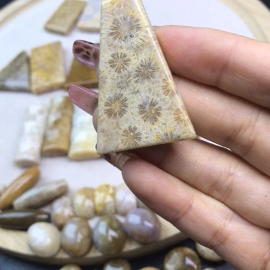 硅化玉未镶嵌颈饰