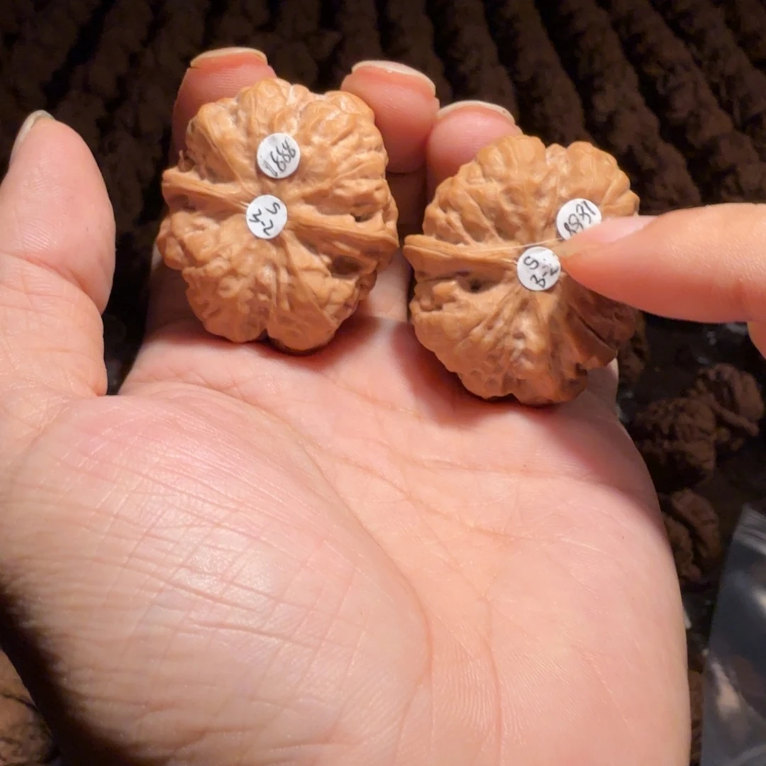 万***斯文玩核桃把件蛤蟆的眼睛是真的好看