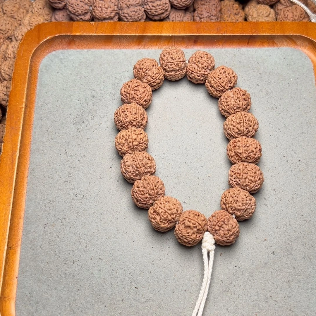 菩提21号金刚菩提六瓣20