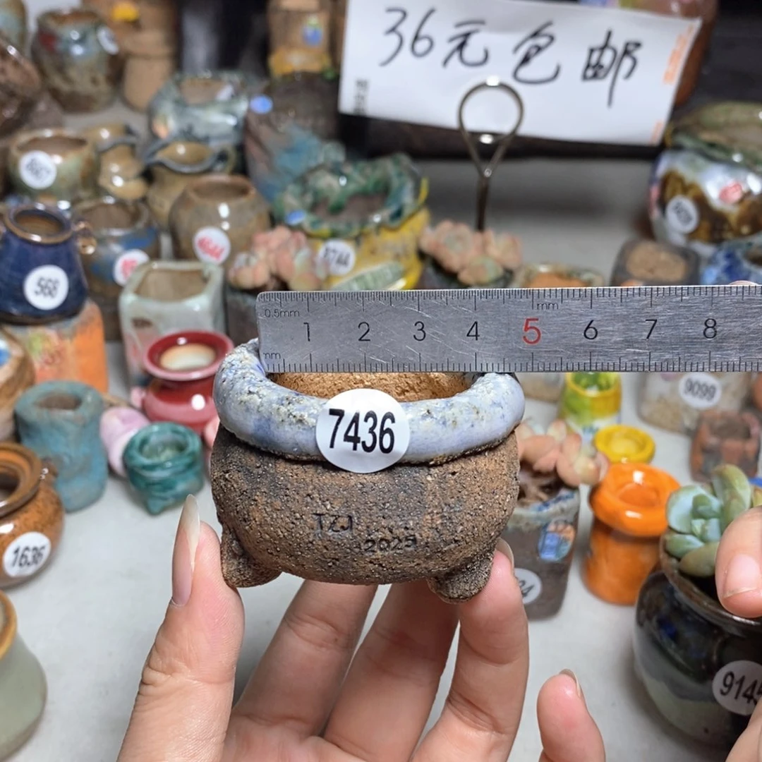 拍3送一个小礼物