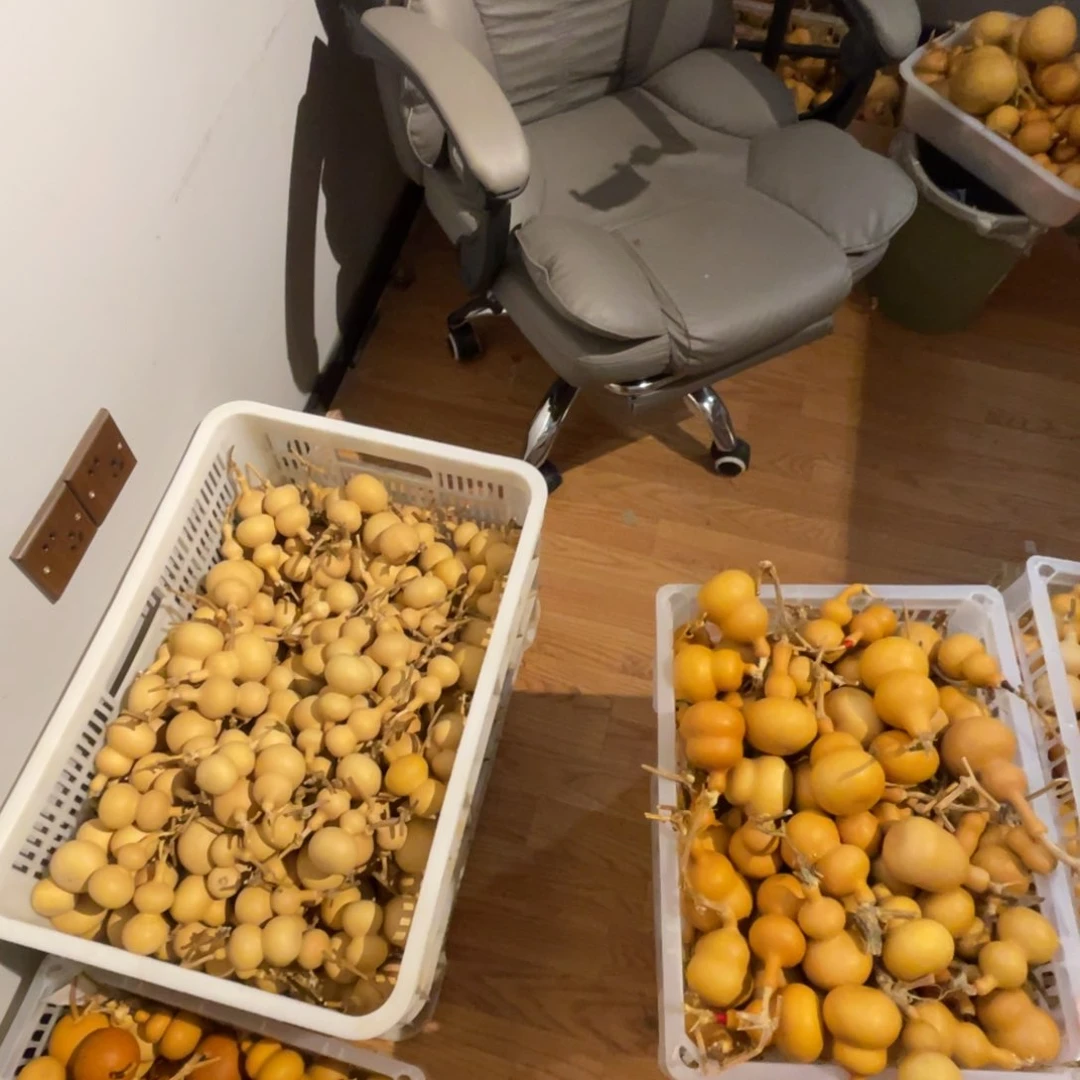 半**~正品八宝正品八宝