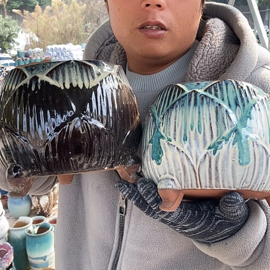 正品品质颜色不挑