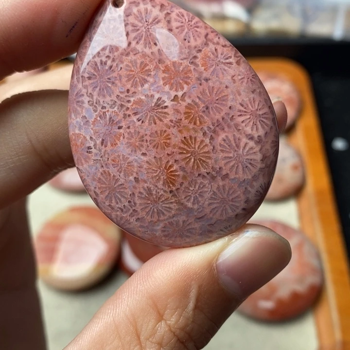 硅化玉颈饰未镶嵌芝*