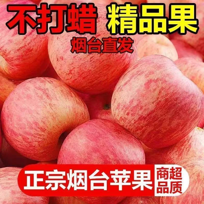 【2025新果】烟台红富士苹果当季新鲜冰糖心苹果10斤一整箱水果批发