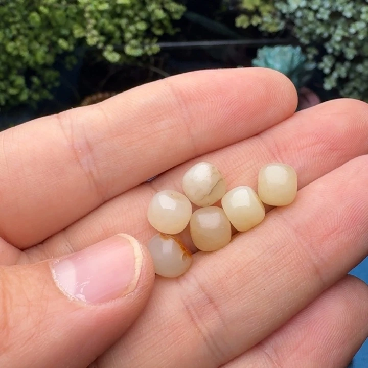 和田玉（白玉）颈饰未镶嵌尚****司