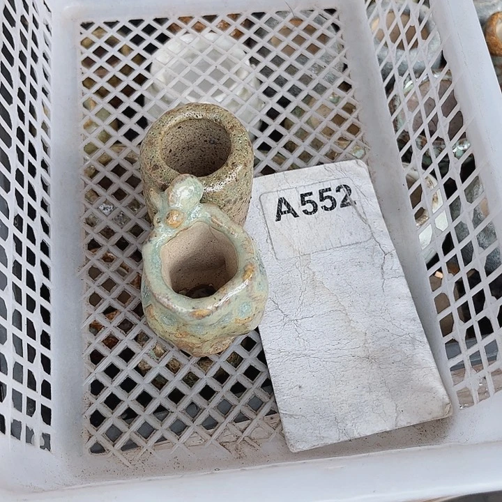 叶**冬552密密麻麻密密麻麻吗