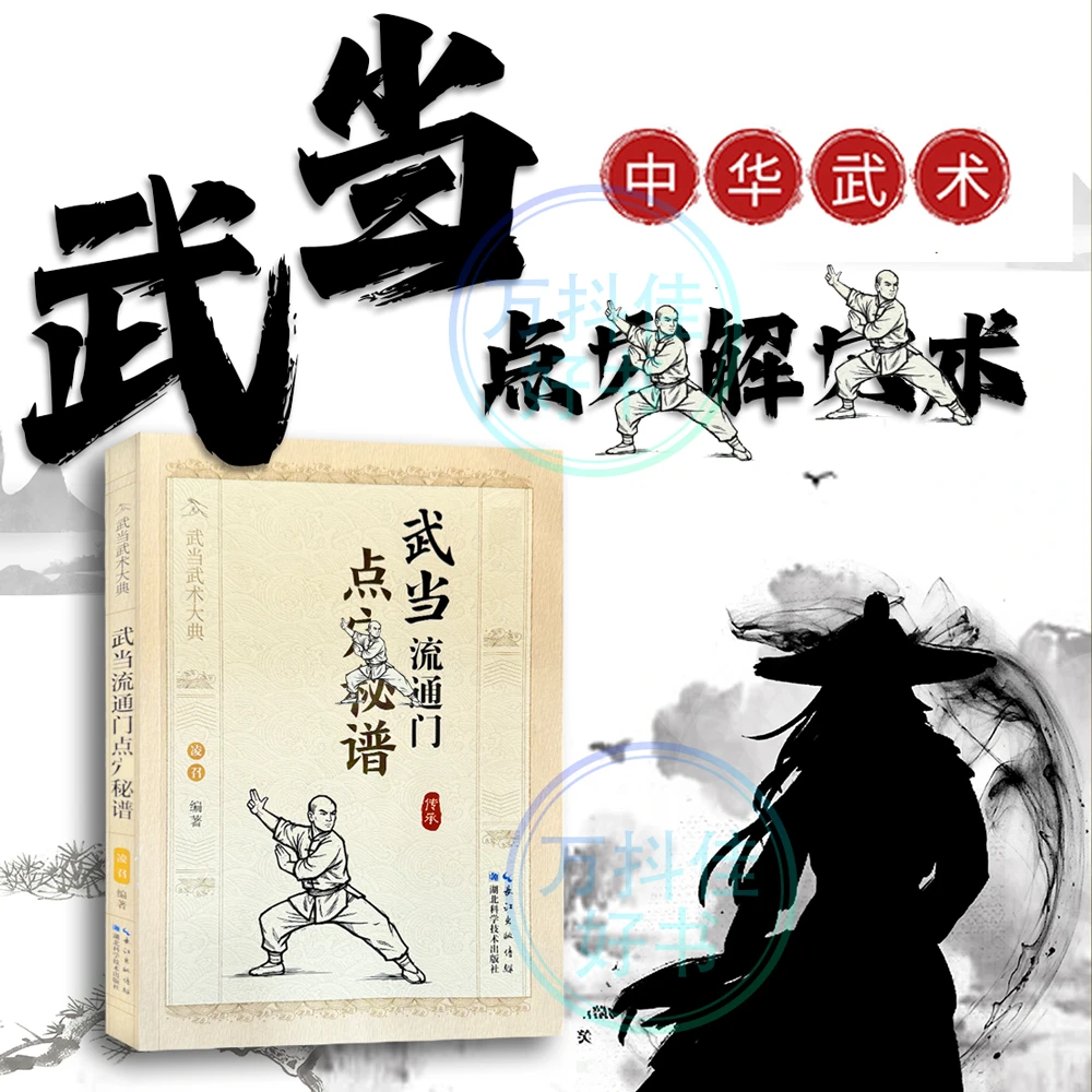 【科瑞吉正版】武当内家点六解六武术穴技击书籍传统文化