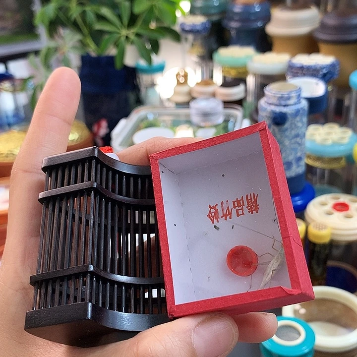 哈哈哈哈哈hi哈哈哈哈哈哈哈哈