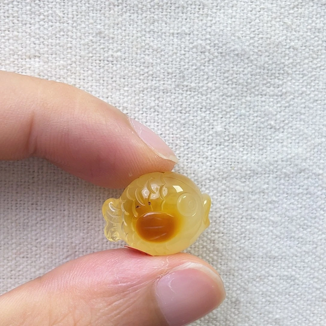 裸石琥珀未镶嵌鱼儿