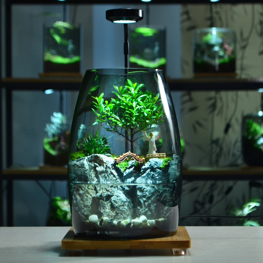 组合带灯水陆缸微景观苔藓微景观国风鱼缸办公室绿植