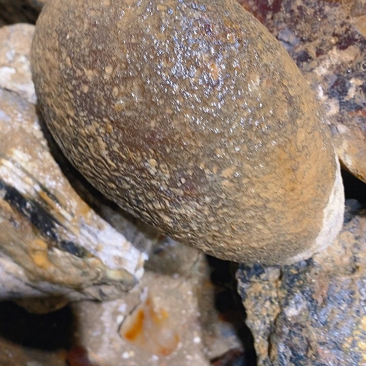 小***乐定制玛瑙顶，你咯哦哦