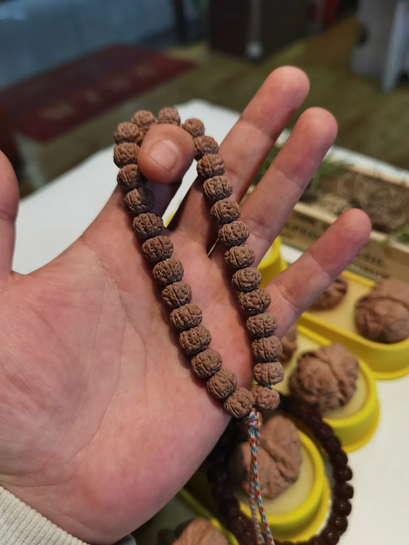 老树王小金刚，尺寸11