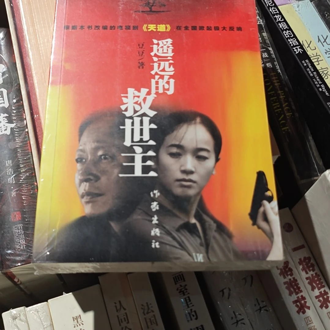 遥远的救世主平装库存书