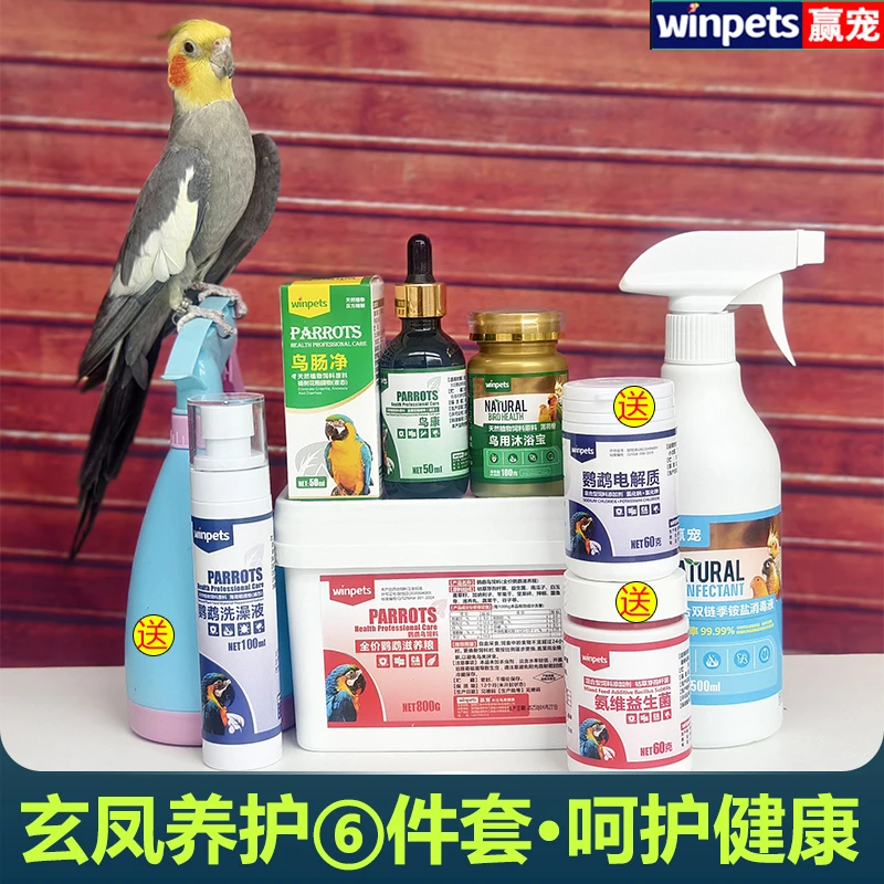 【宠粉专属】玄风鹦鹉养护大礼包应对常见问题