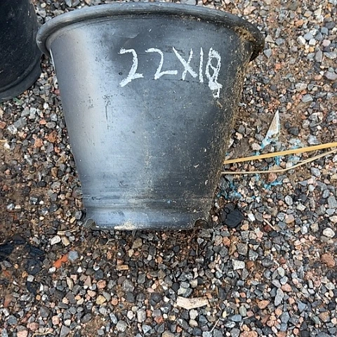 杯斗笠口径22高度18尾货