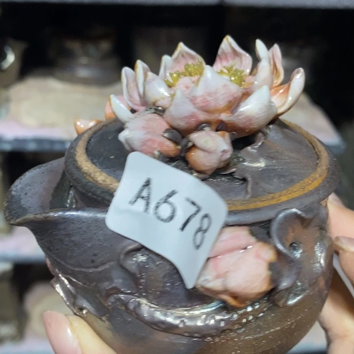 柴烧裸烧源头产地