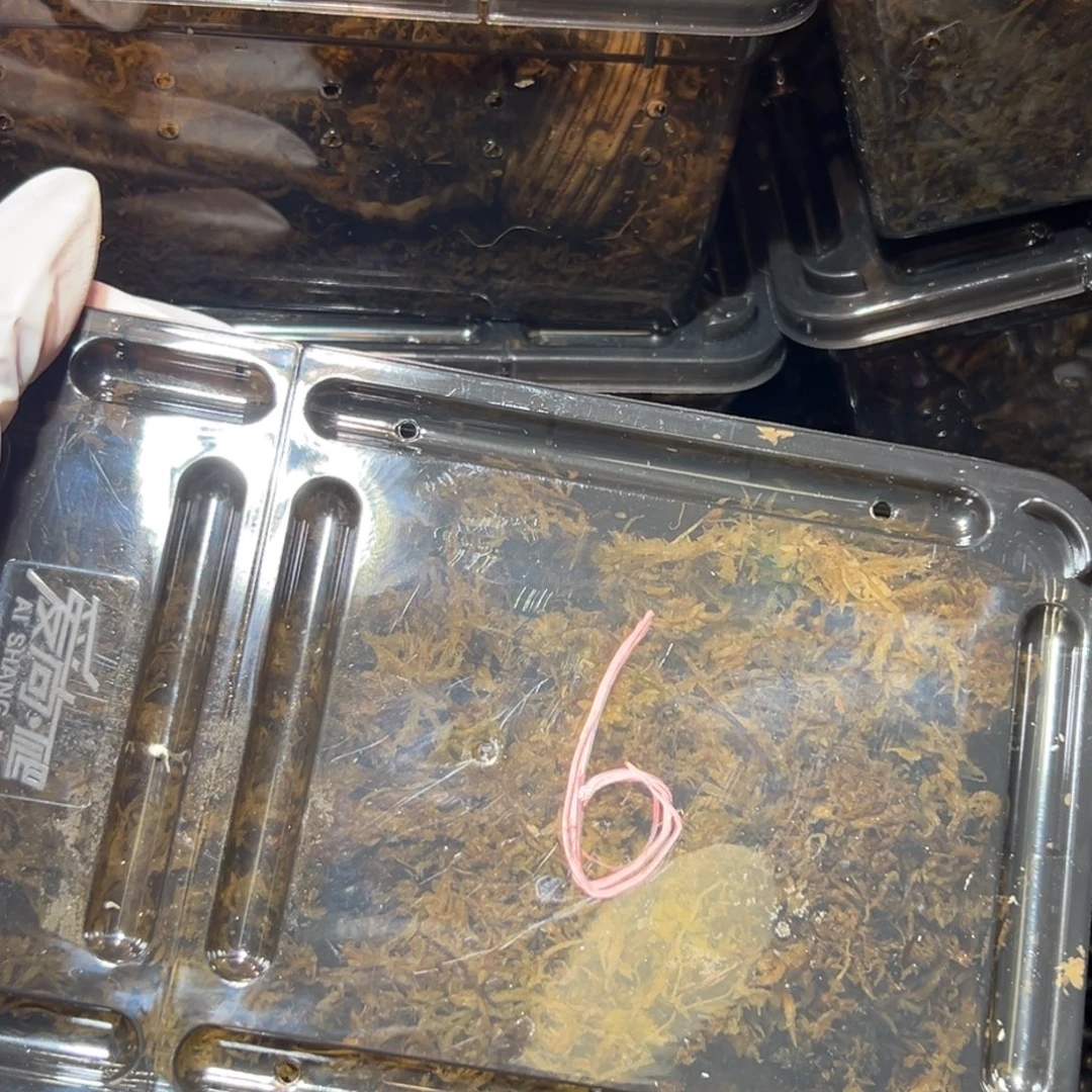 圣诞福袋6号，口径2.8到4口介意勿拍