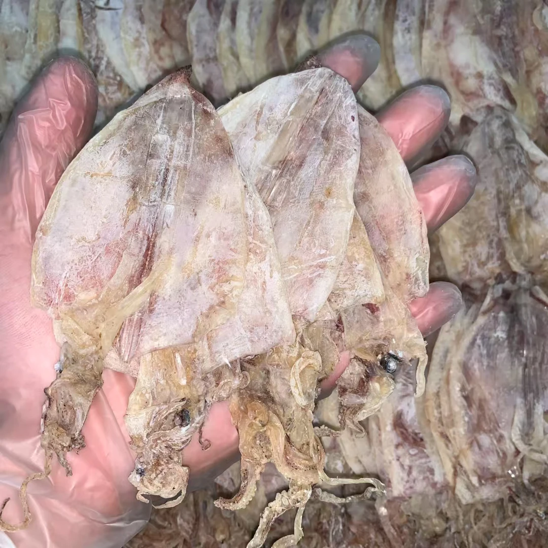 鱿鱼干 鱿鱼片 汕尾本地海港 自晒 推荐烧烤 爆炒