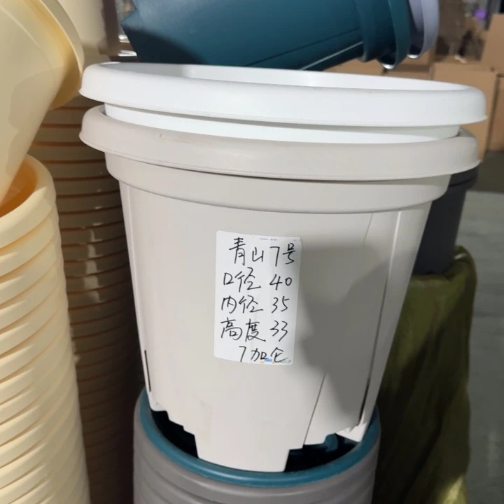青山7#口径40灰白5个无托