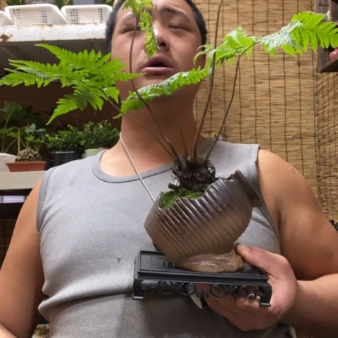 红陶i****g一物一拍所见即所得253