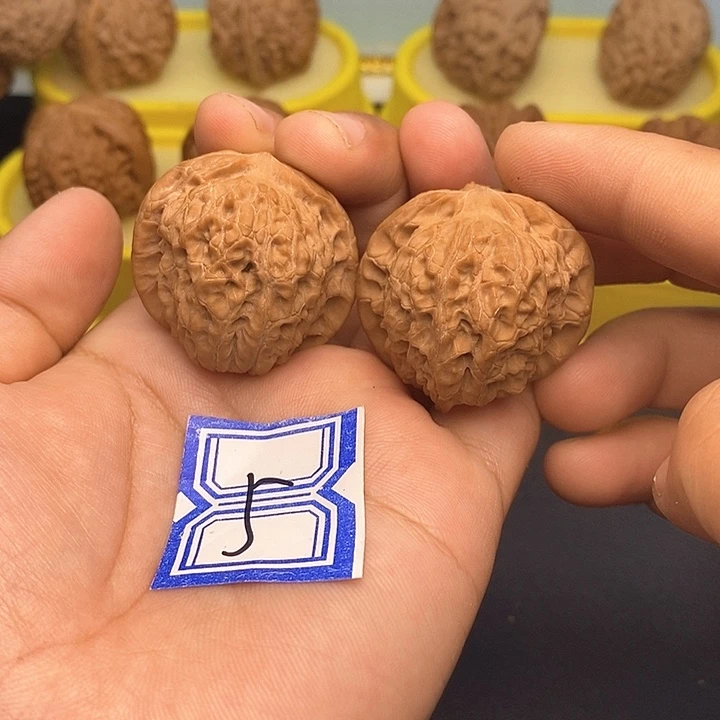 文玩核桃吊坠35血麒麟