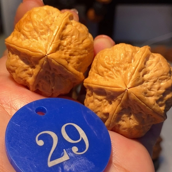 10号链接比翼双飞四棱37尺寸