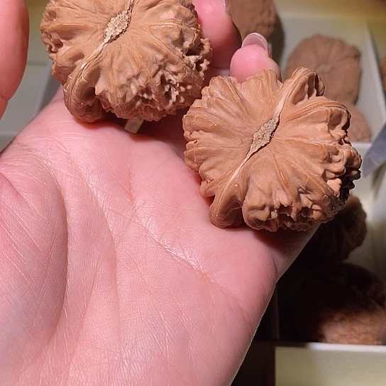 加***带把件文玩核桃白狮子