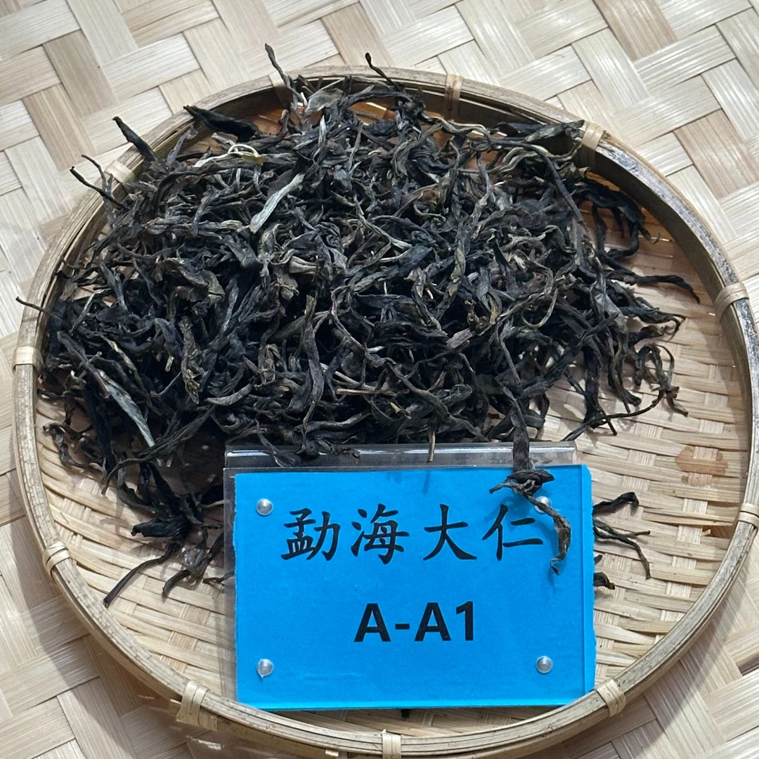 DR8-23【A-A1】“普洱茶”2025年勐往曼糯古树头春头采生散茶