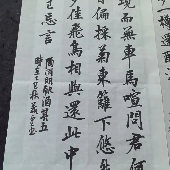 书法结庐在人境。。。。。