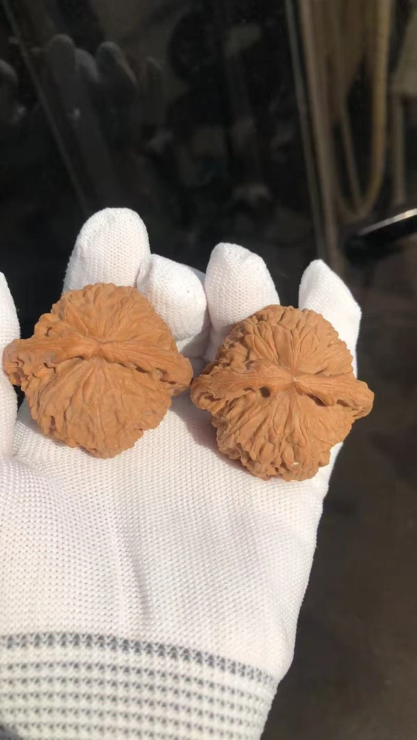 43-44左右白狮子文玩核桃对核桃