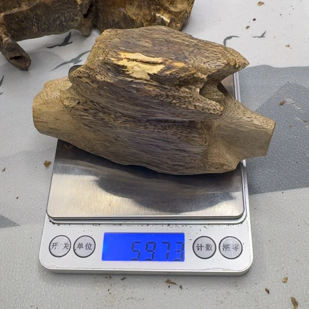 沉香沉香碎屑陆河老料59克