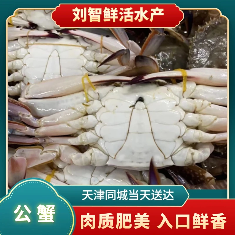 【保鲜不保活】 海捕公蟹 海产 梭子蟹 2-6斤 每只3两左右
