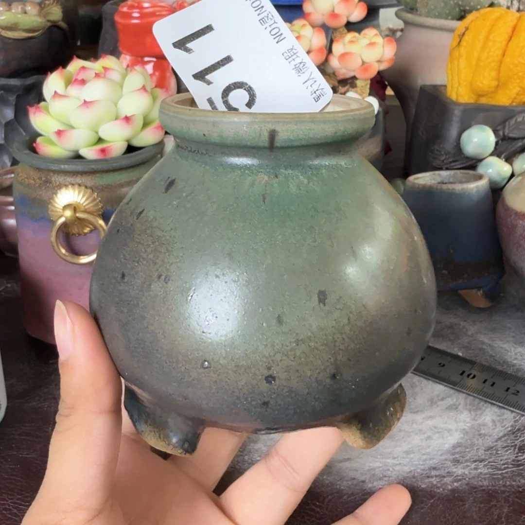 重庆小燕子欢迎大家511