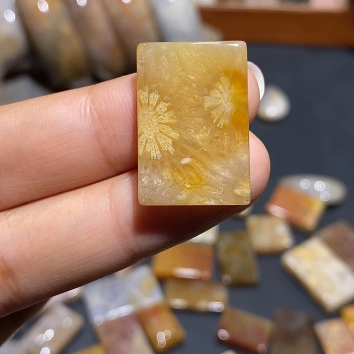 【闪购商品】未镶嵌珊瑚玉硅化玉