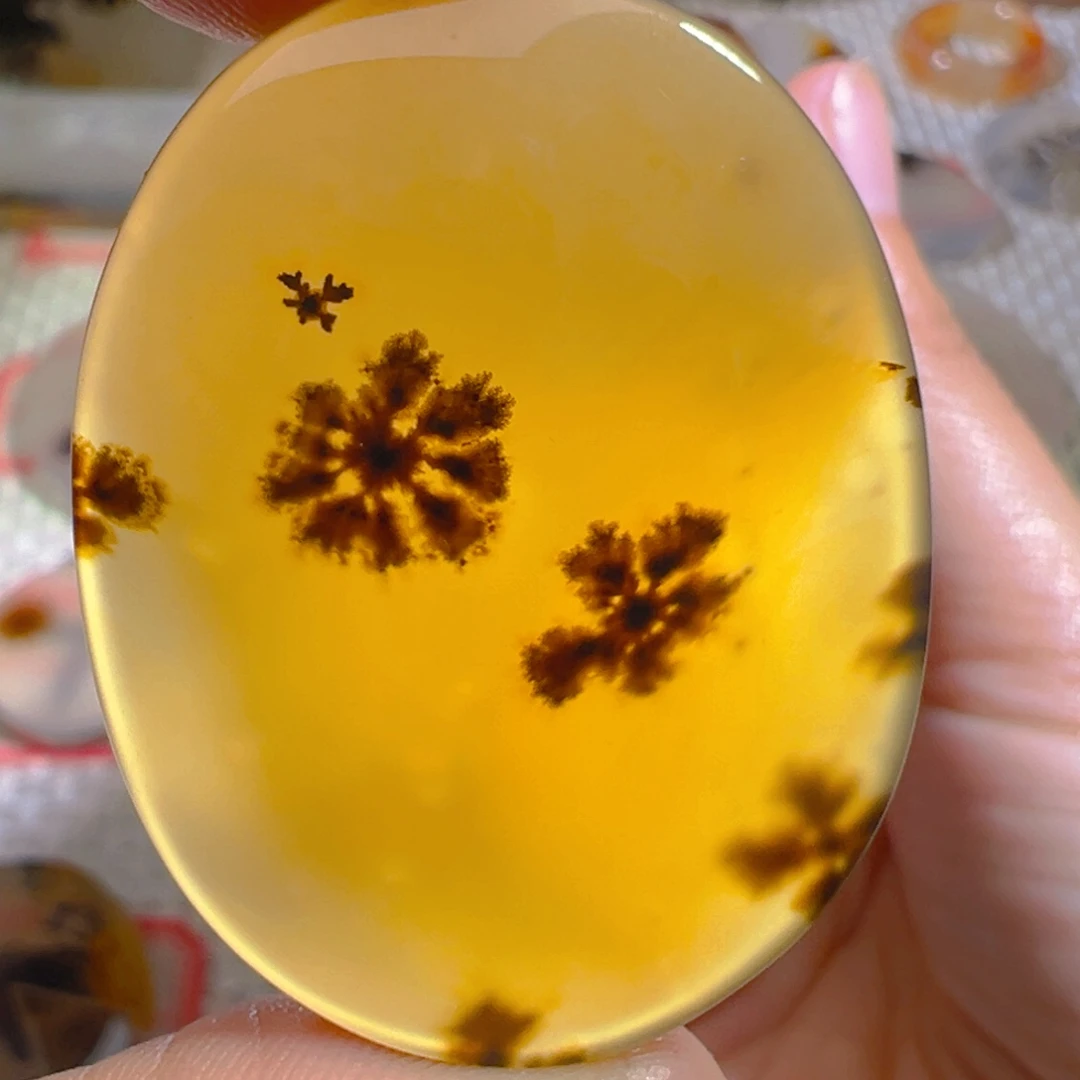 未镶嵌颈饰玛瑙/玉髓