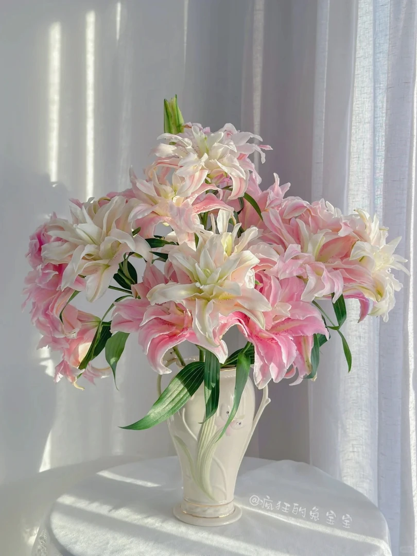 【花言罐舍】桃花妖重瓣百合 一单包邮 云南鲜花昆明基地现采现发