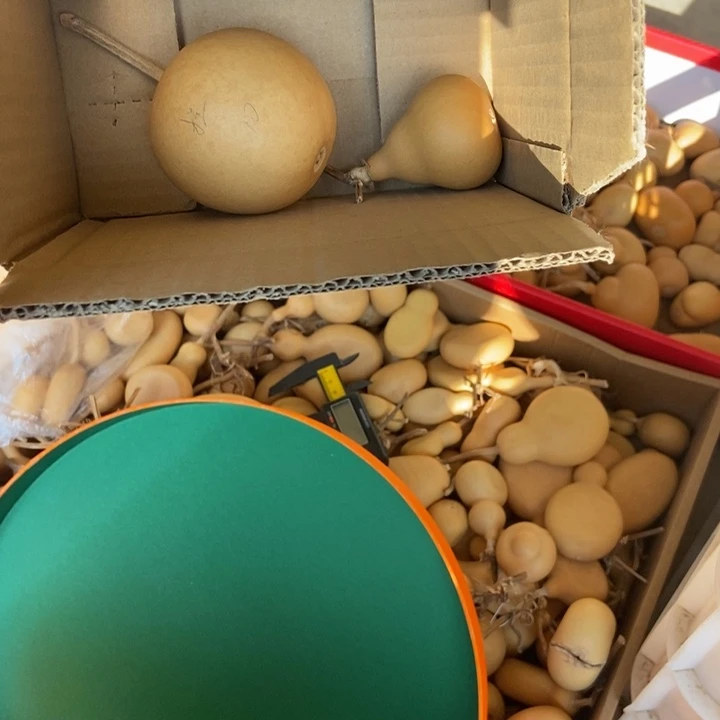 搓***头搓搓搓搓恭喜发财