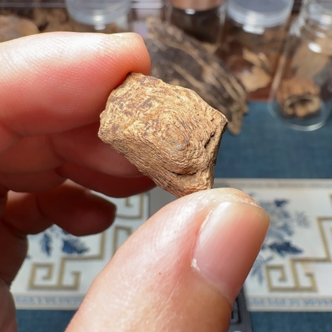 沉香兰卡红土虎斑