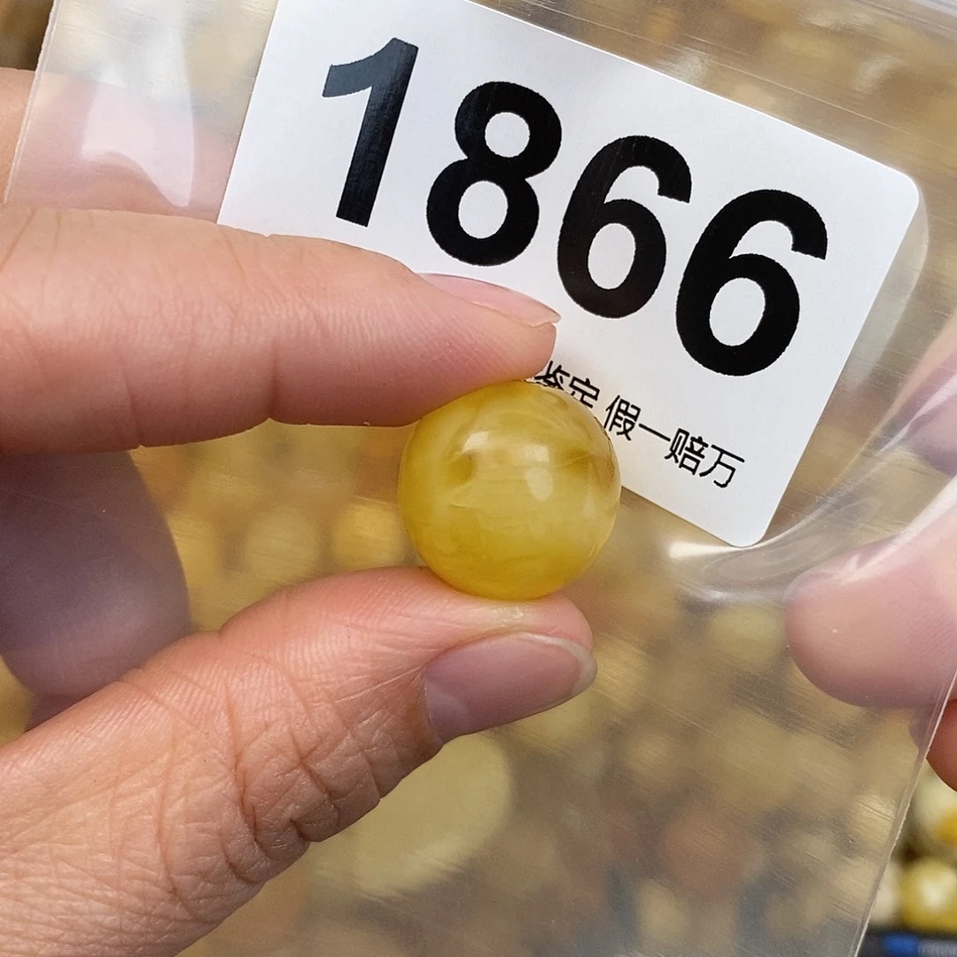 蜜蜡未镶嵌珠宝奇石16.9