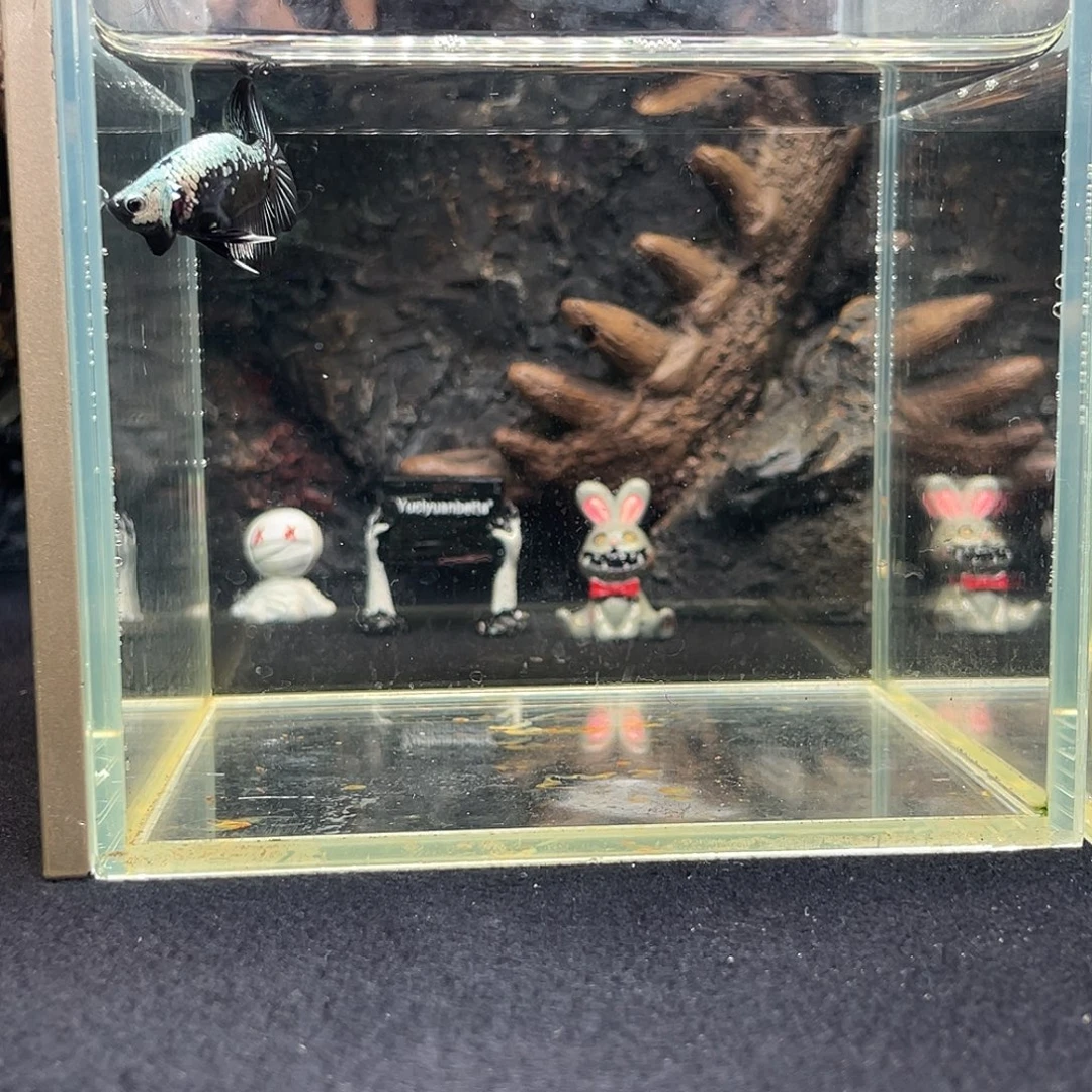 斗鱼十月十二日竞价