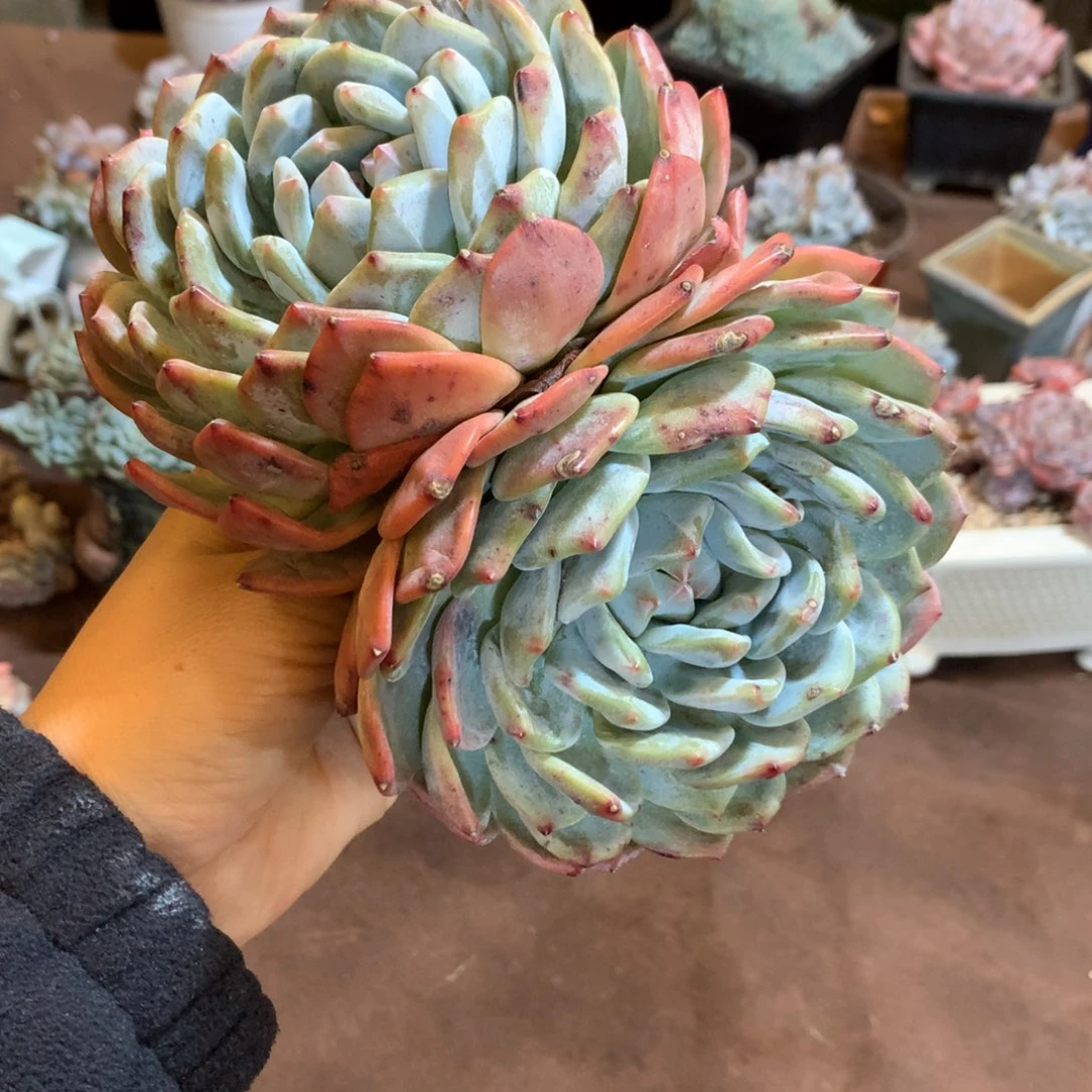 哈哈哈哈哈哈哈哈哈