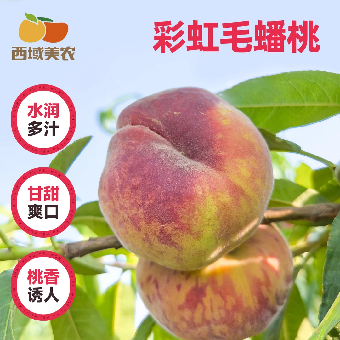 西域美农陕西彩虹毛蟠桃4.5斤 新鲜水果应季生鲜桃子脆软桃毛桃