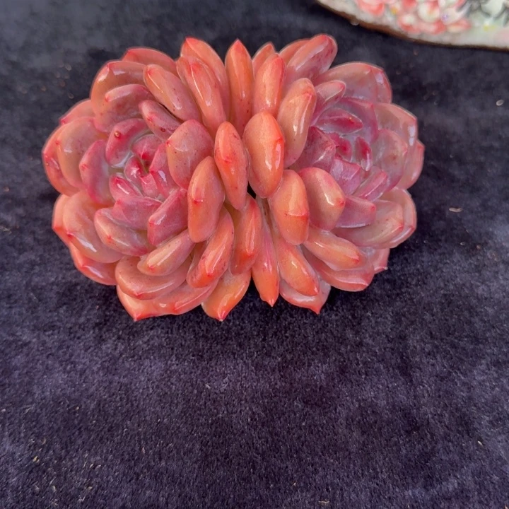 11厘米左右一物一拍的